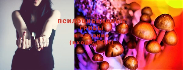 твердый Покровск