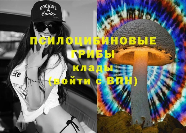 соль ск Покров